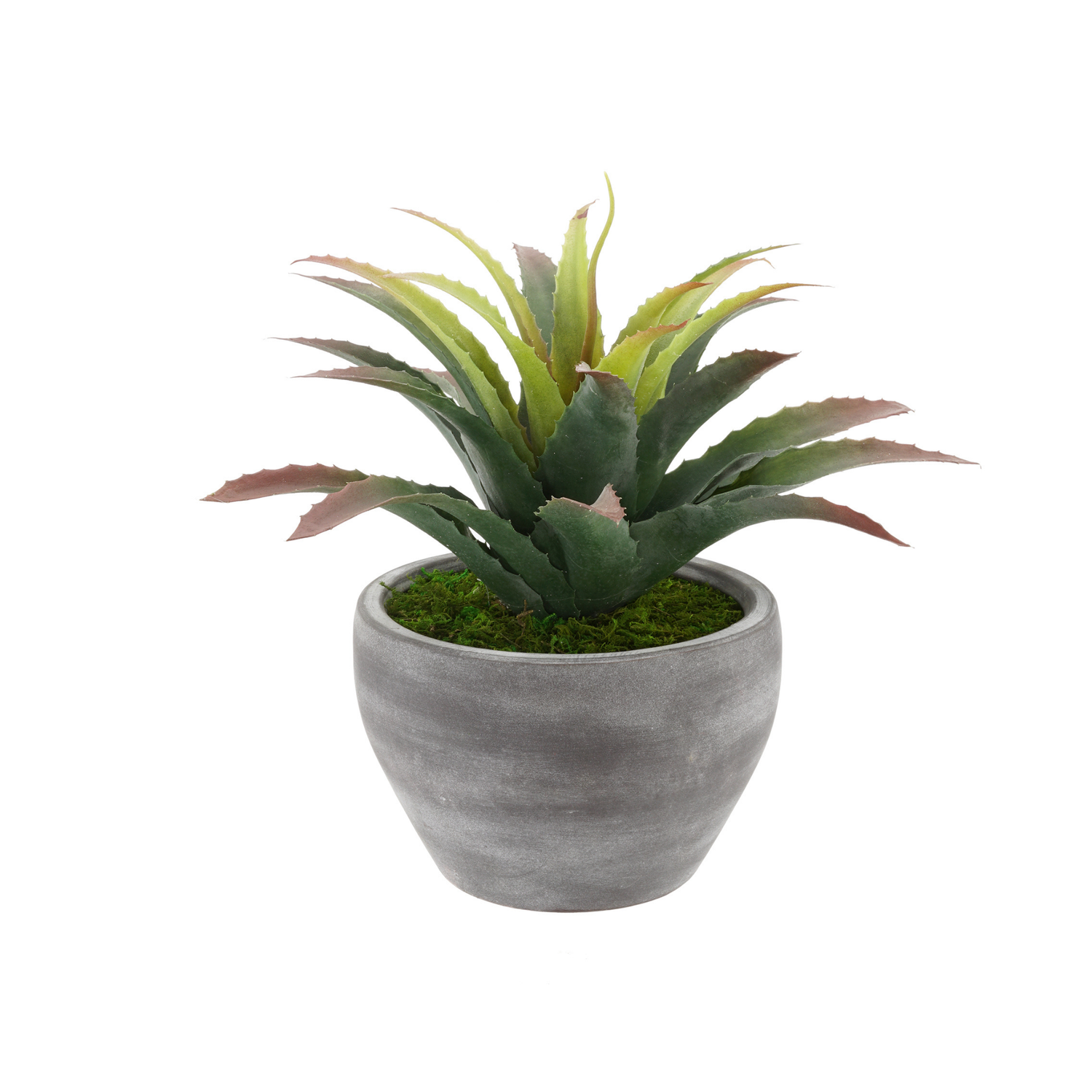 Faux Star Succulent in Grey-Washed Ceramic