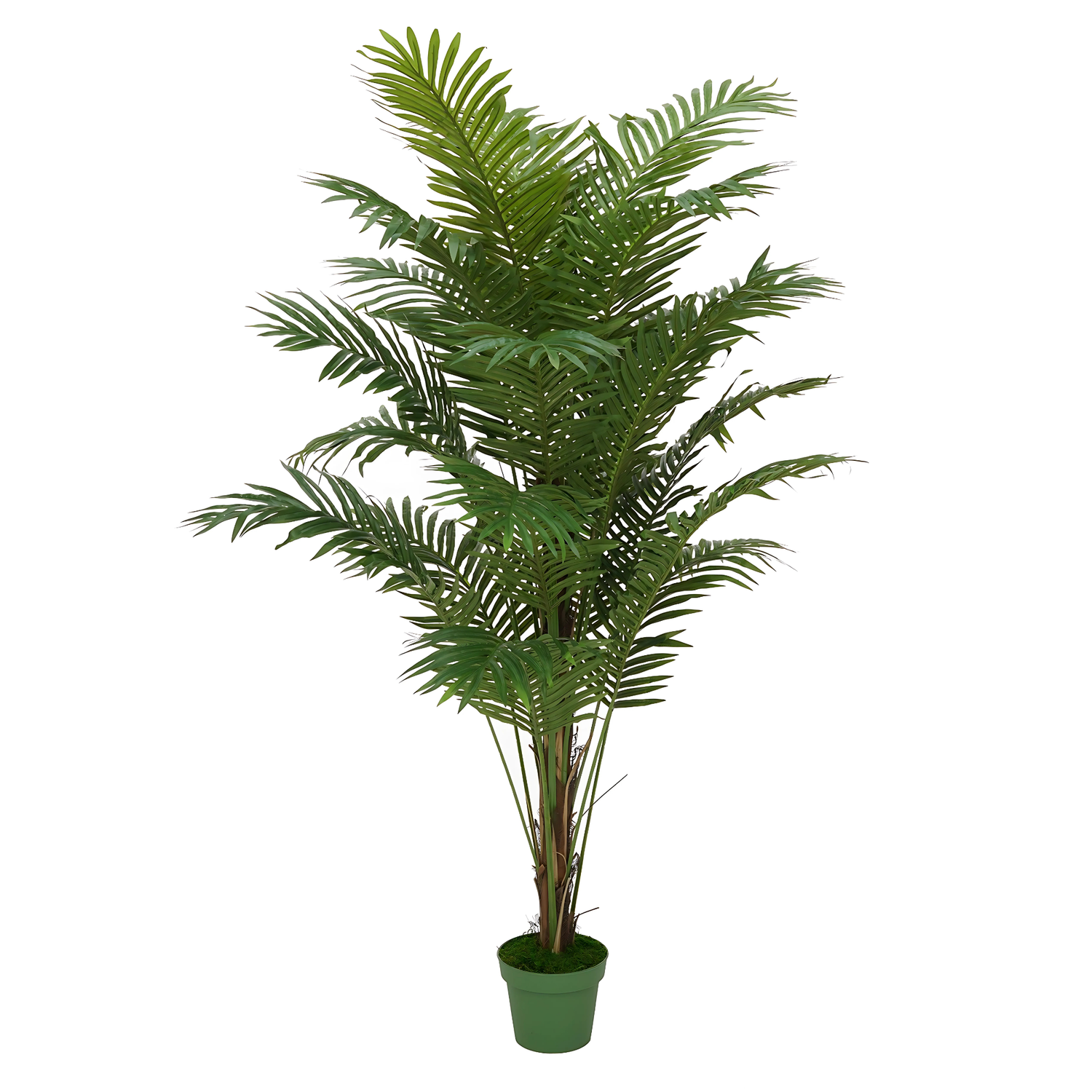 6 Ft Faux Paradise Palm Tree