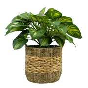 28" Large Faux Hosta in Natural Seagrass & Hyacinth Basket