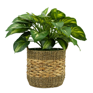 28" Large Faux Hosta in Natural Seagrass & Hyacinth Basket