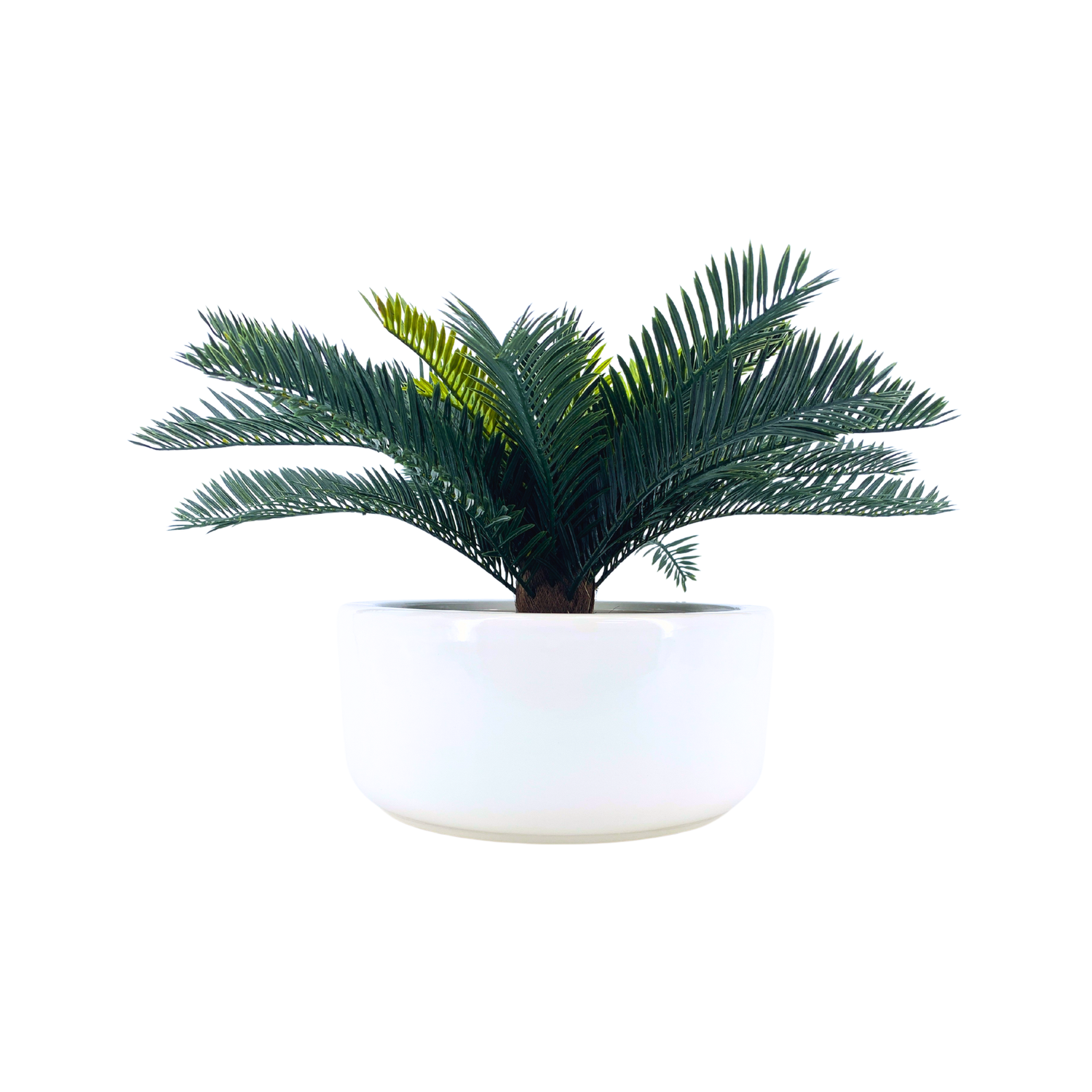 Faux Cycas Bush in Smooth Ceramic Bowl