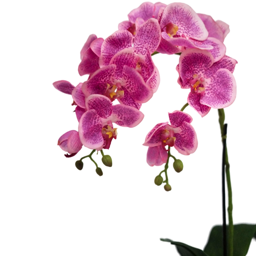 Light Purple Orchid in Glossy Black Ribbed Ceramic