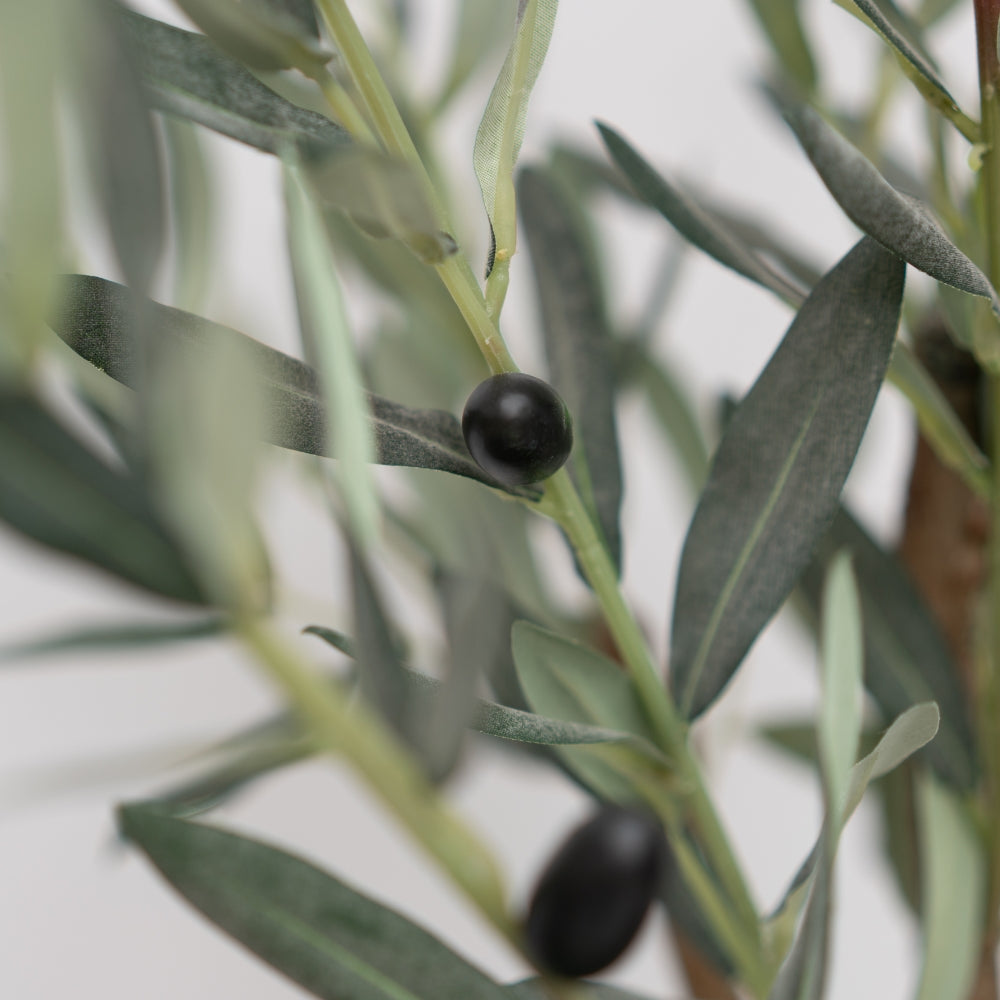 74" Olive Tree in Matte Paneled Terracotta Ceramic