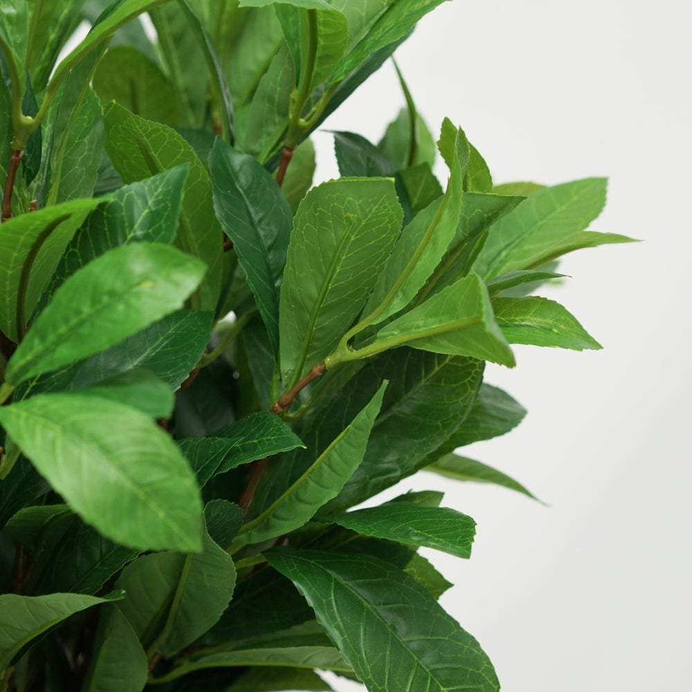 25" Laurel Bush in Natural Hyacinth Basket