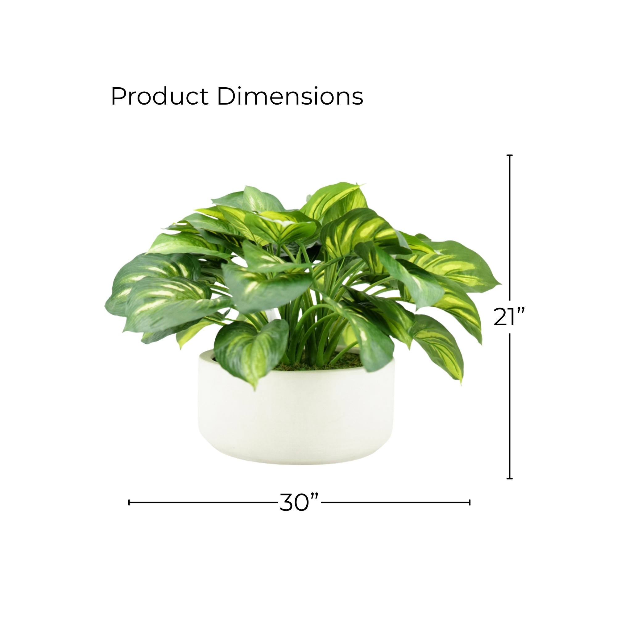 21" Faux Hosta Bush in a Large White Stonewash Ceramic Bowl