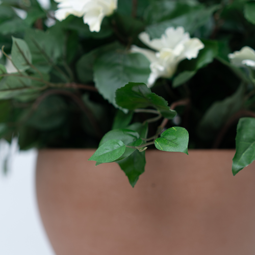 14" Cream Colored Hibiscus in Terracotta Bowl Shaped Ceramic