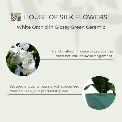 22" Faux White Orchid in Glossy Green Ceramic With Terracotta Base