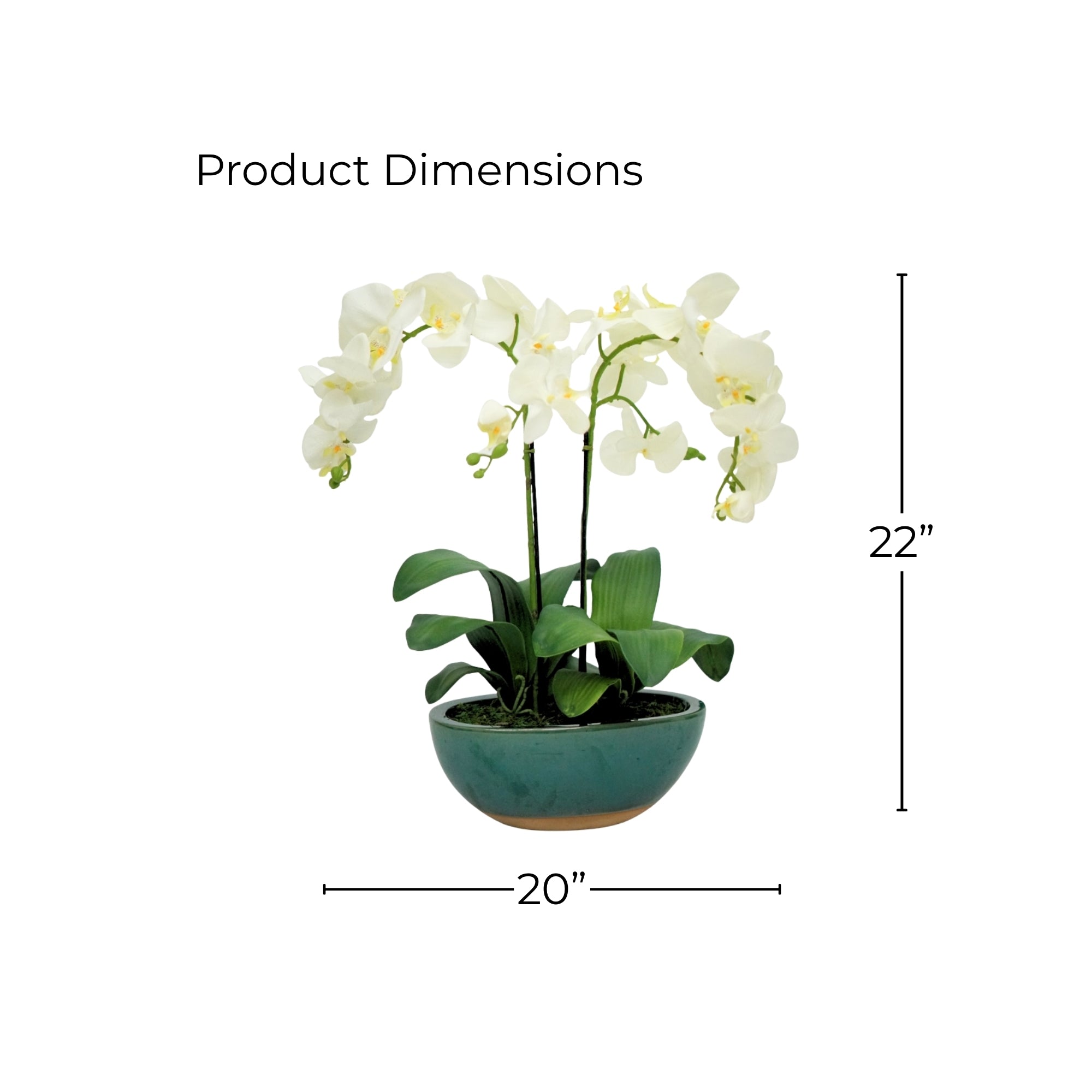 22" Faux White Orchid in Glossy Green Ceramic With Terracotta Base