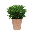 24" Laurel Bush in Matte Light Terracotta Ceramic