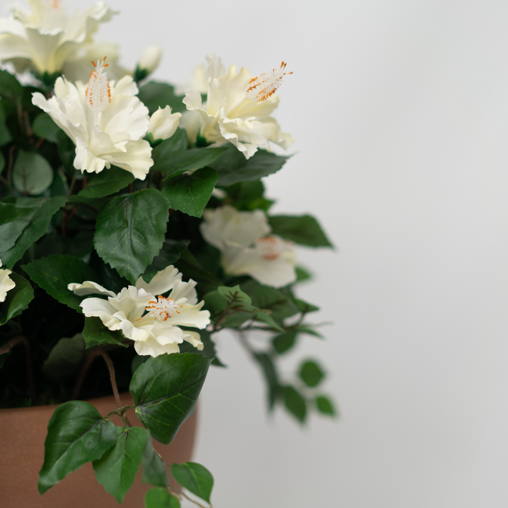 14" Cream Colored Hibiscus in Terracotta Bowl Shaped Ceramic