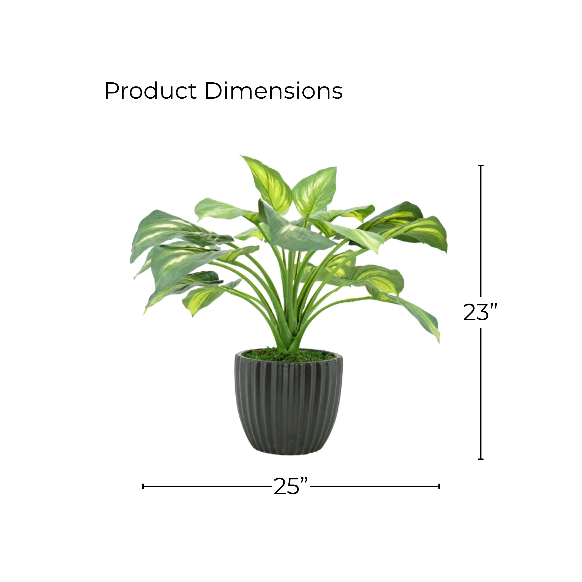 23" Faux Hosta in Matte Black Ribbed Ceramic