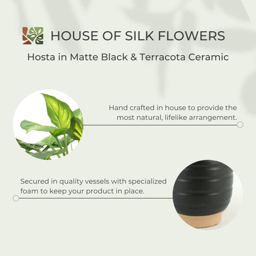 23" Faux Small Hosta in Matte Black and Terracota Ceramic