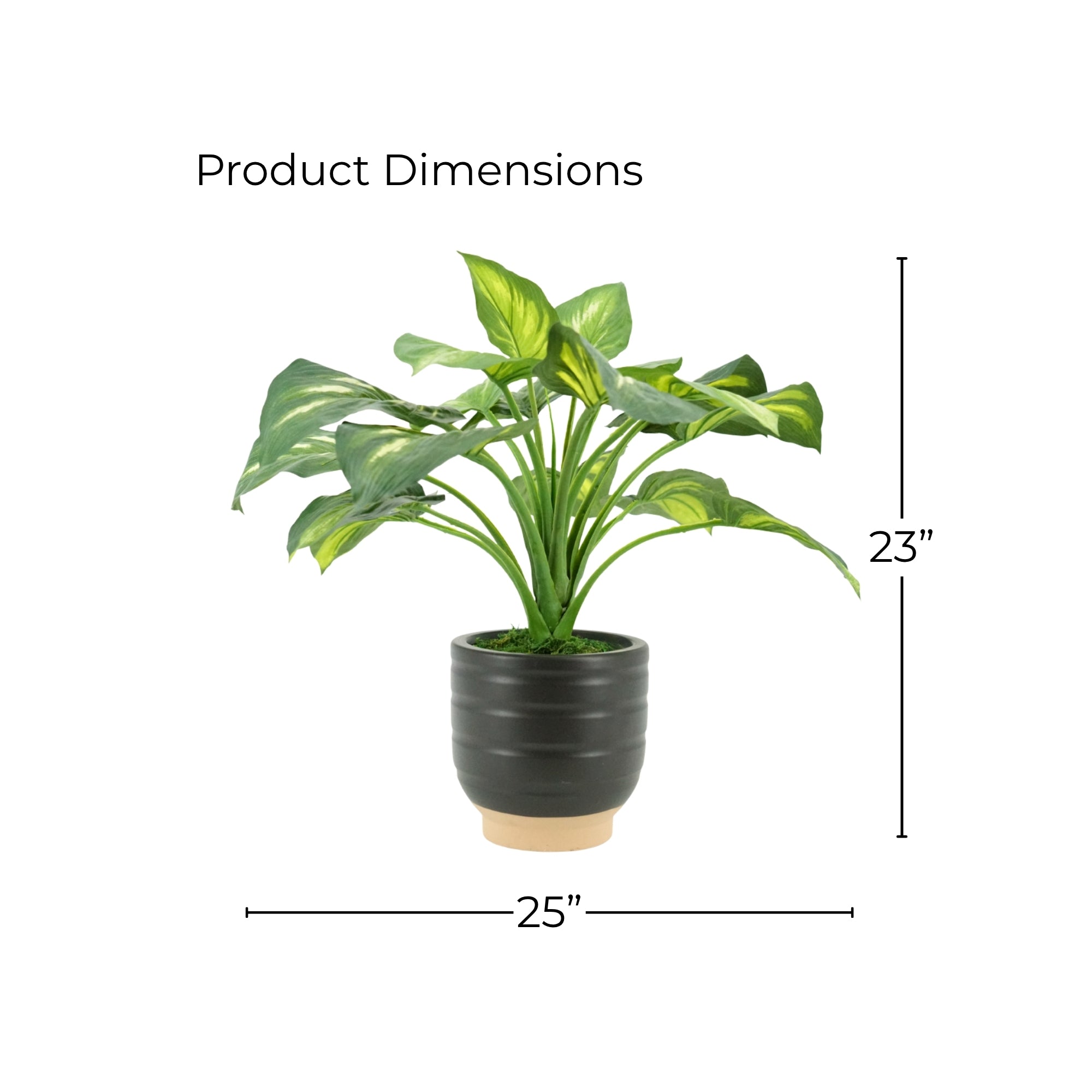 23" Faux Small Hosta in Matte Black and Terracota Ceramic