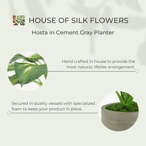 23" Small Faux Hosta in Cement Gray Planter