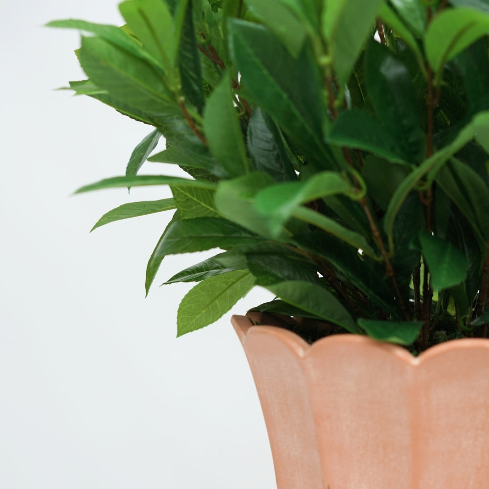 24" Laurel Bush in Matte Light Terracotta Ceramic