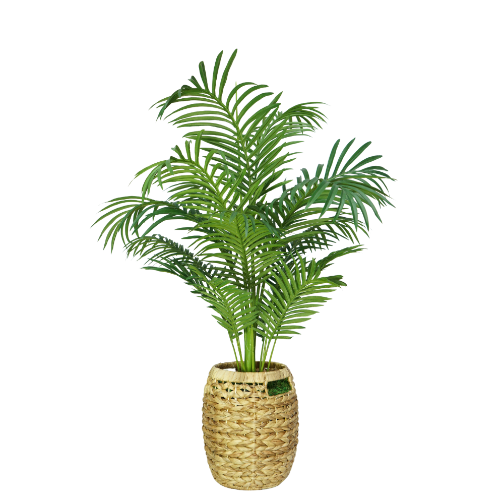 3-1/2 foot Faux Areca Palm in a braided water hyacinth basket with handles, set against a white background, by House of Silk Flowers.