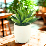 Agave Succulent in White Stone Tripod Ceramic by House of Silk Flowers environment 