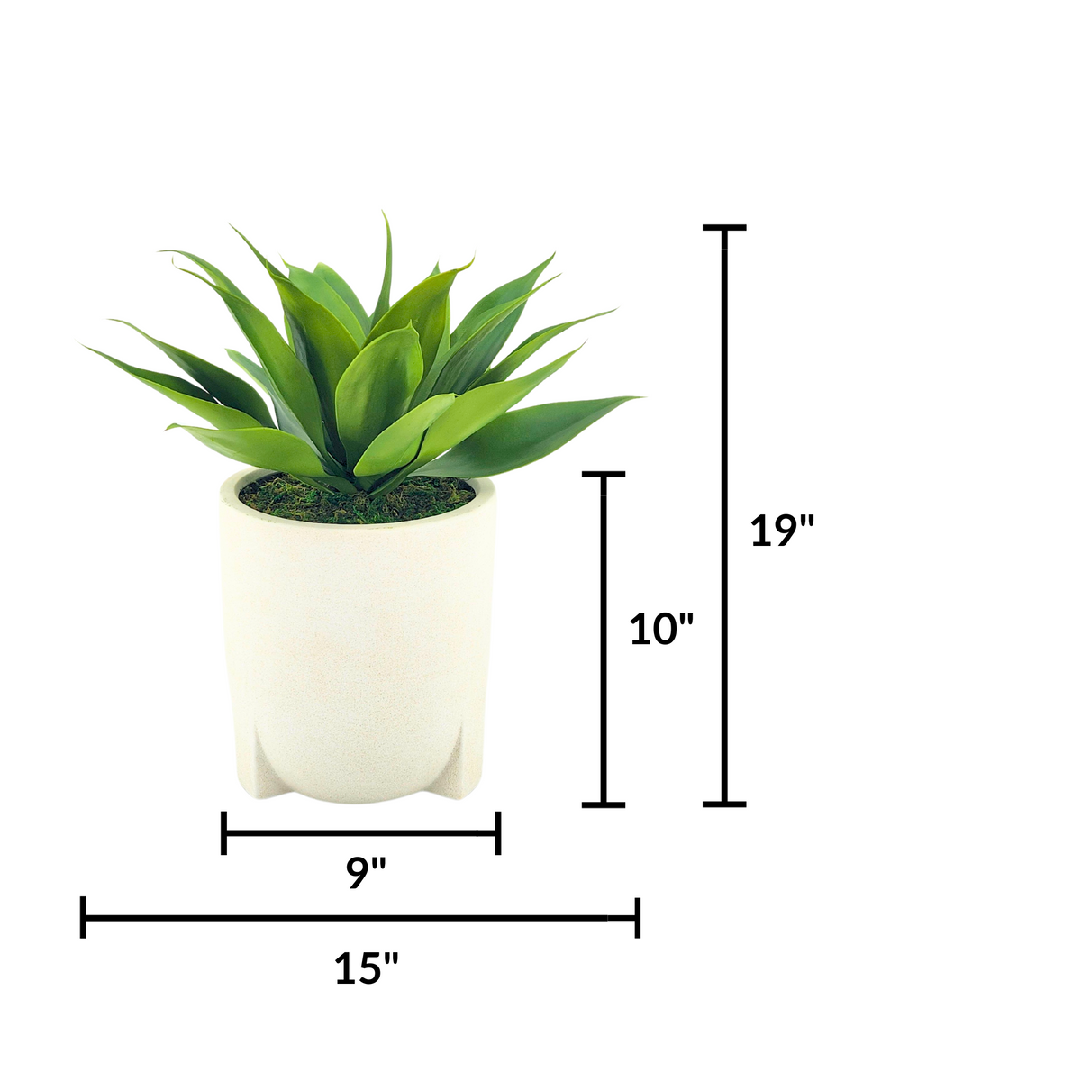 Agave Succulent in White Stone Tripod Ceramic by House of Silk Flowers measurements