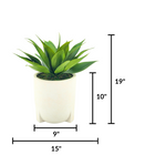 Agave Succulent in White Stone Tripod Ceramic by House of Silk Flowers measurements