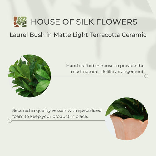 24" Laurel Bush in Matte Light Terracotta Ceramic
