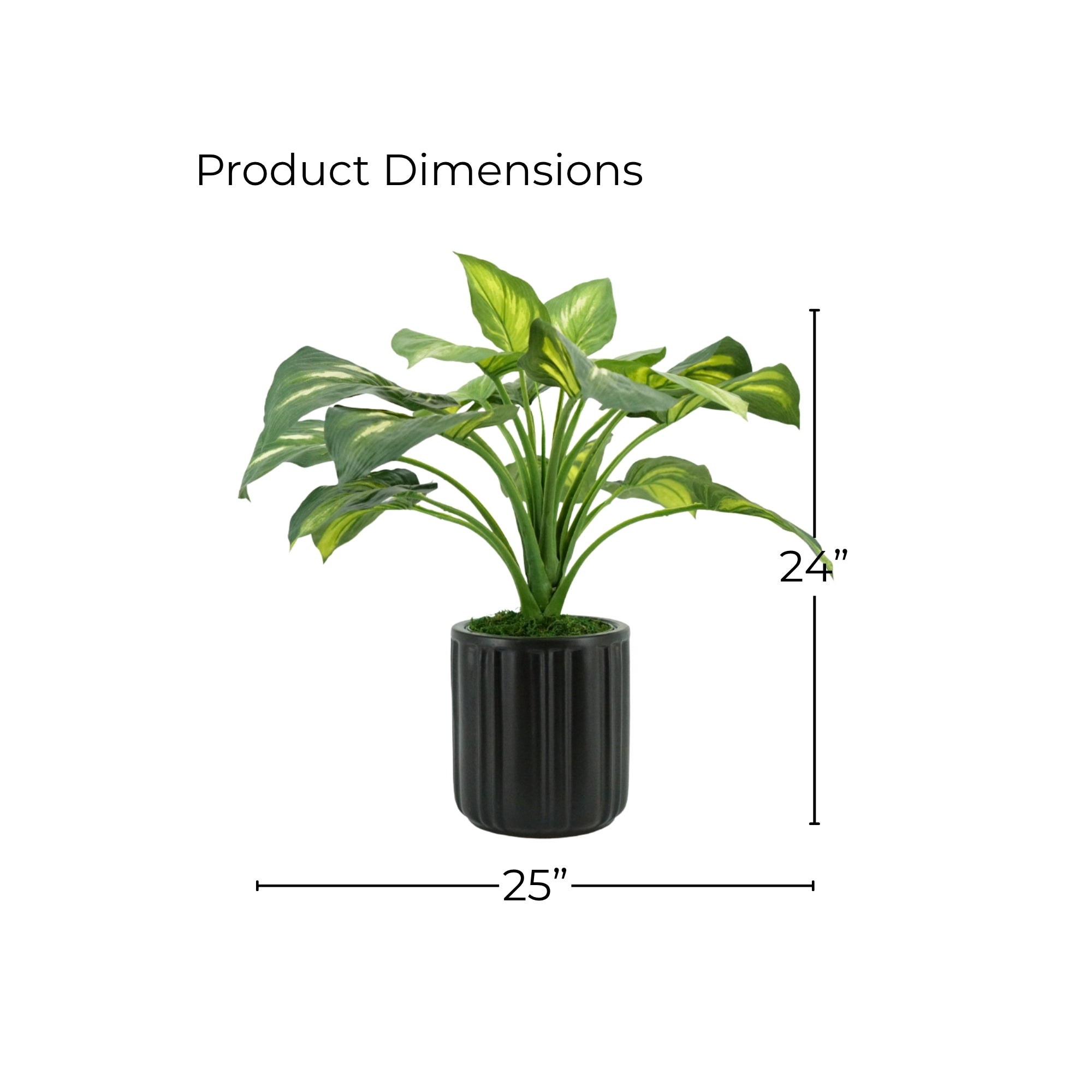 24" Small Faux Hosta in a Classic Matte Black Ceramic Pot