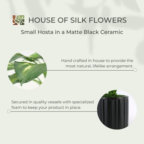 24" Small Faux Hosta in a Classic Matte Black Ceramic Pot