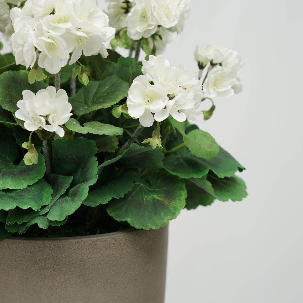 18" Geranium Bush in Cement Gray Ceramic