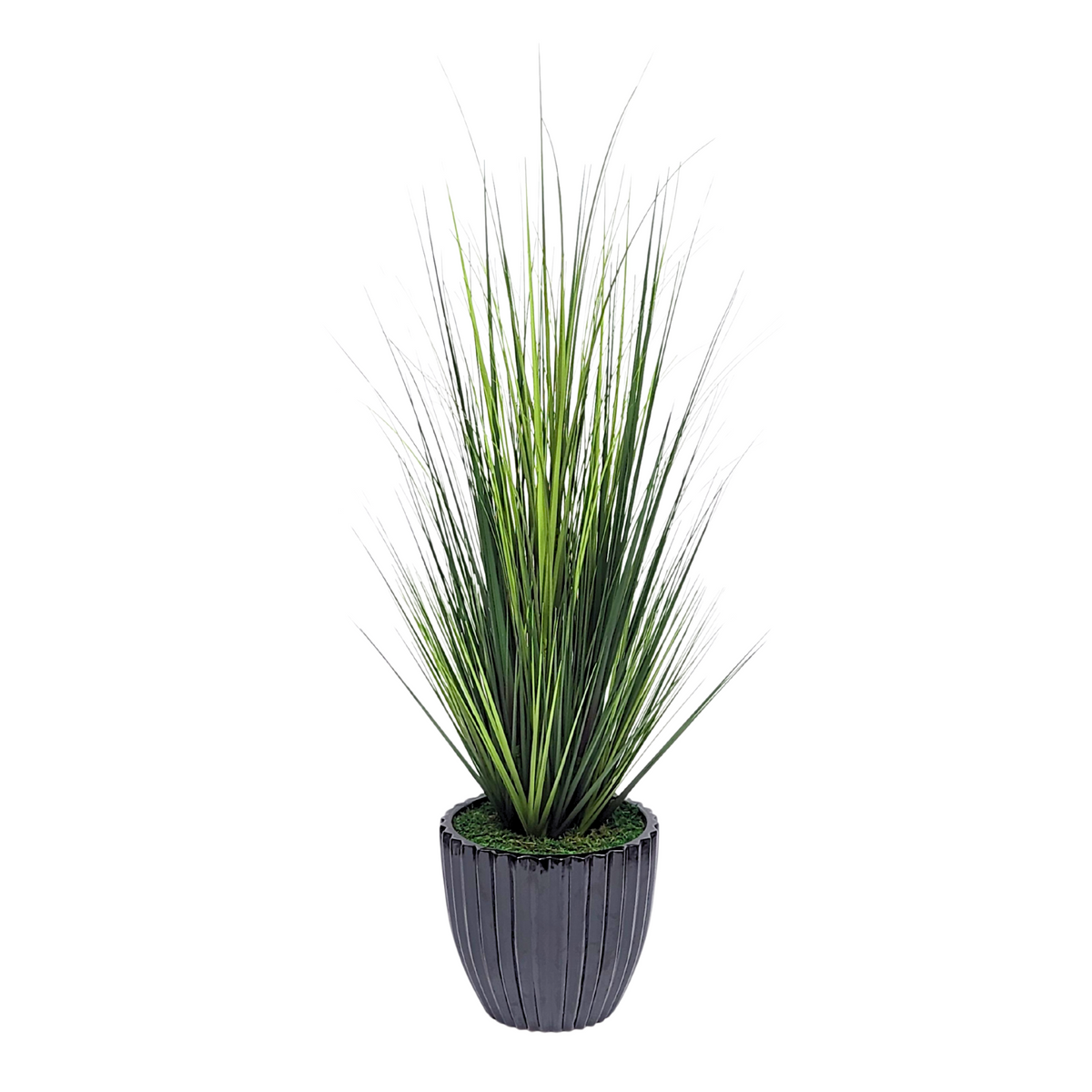 Faux grass in black glossy tapered ceramic by house of silk flowers 