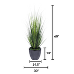 Faux grass in black glossy tapered ceramic by house of silk flowers  measurements