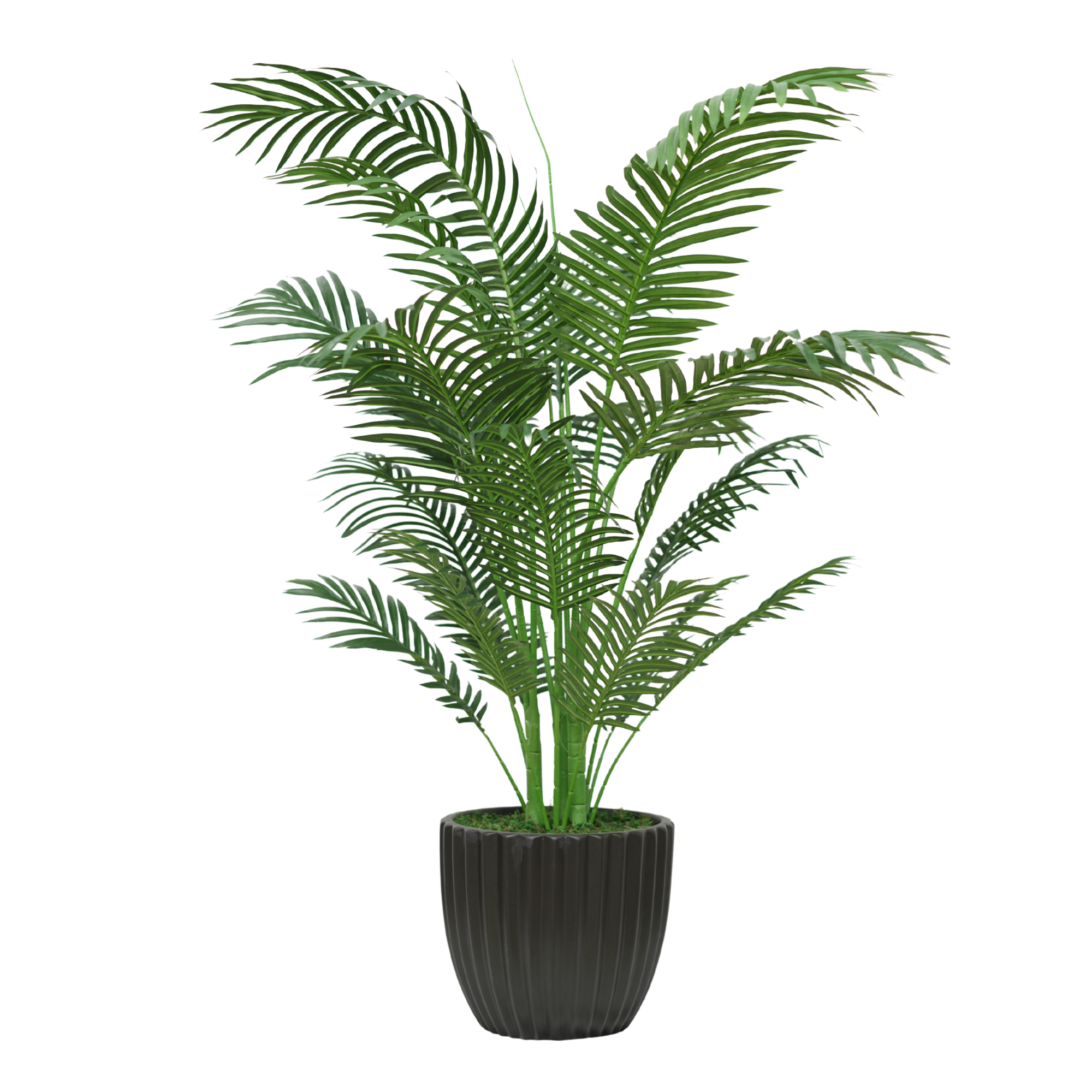 52" Areca Palm in Matte Black Ribbed Ceramic