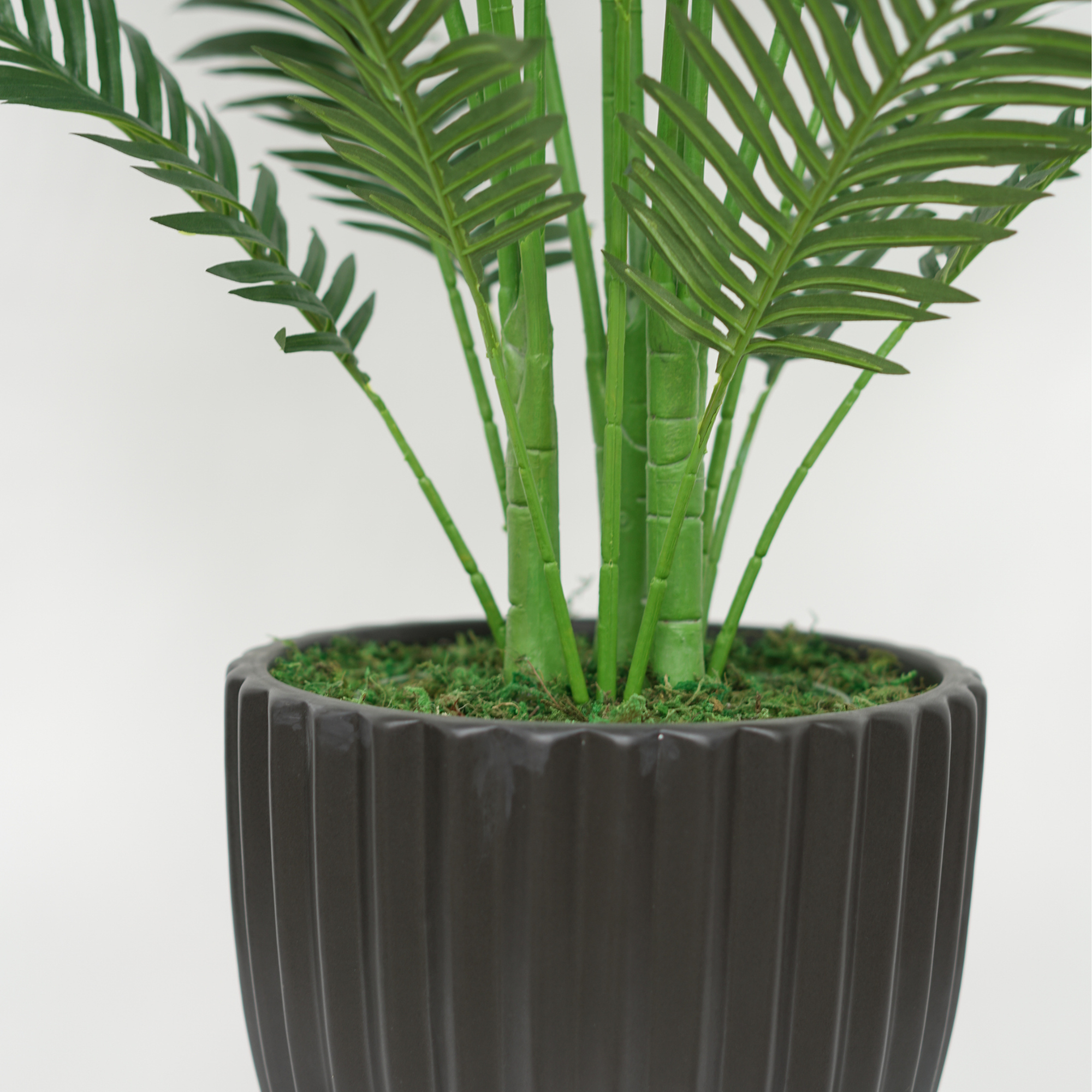 52" Areca Palm in Matte Black Ribbed Ceramic