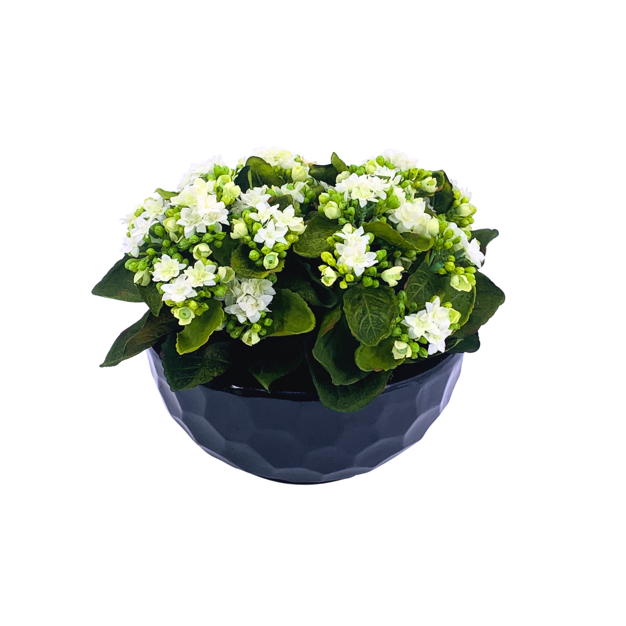 Faux Kalanchoe Arrangement in Glossy Black Dimpled Ceramic Bowl