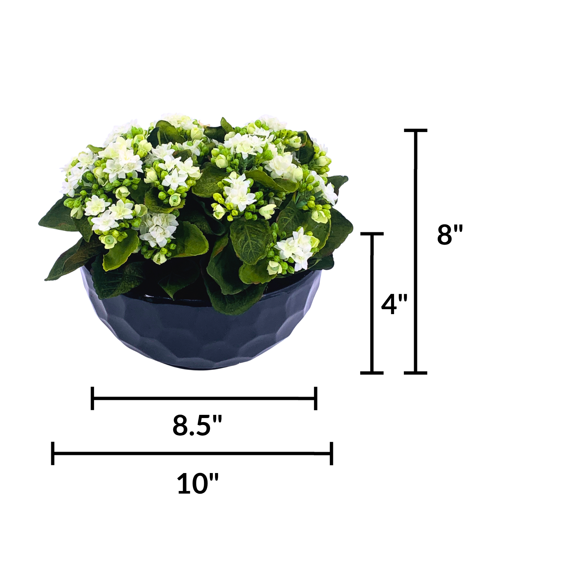 Faux Kalanchoe Arrangement in Glossy Black Dimpled Ceramic Bowl