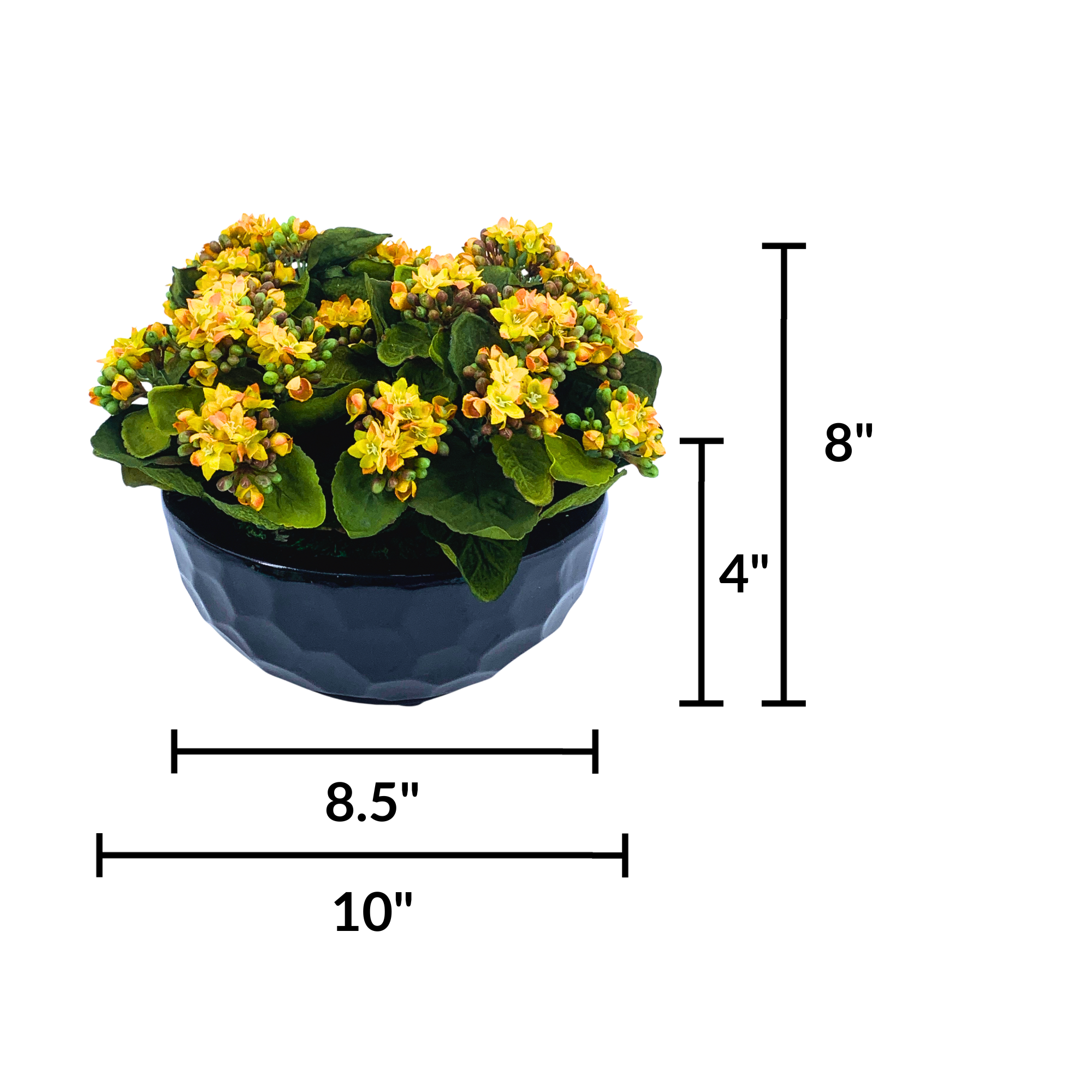 Faux Kalanchoe Arrangement in Glossy Black Dimpled Ceramic Bowl