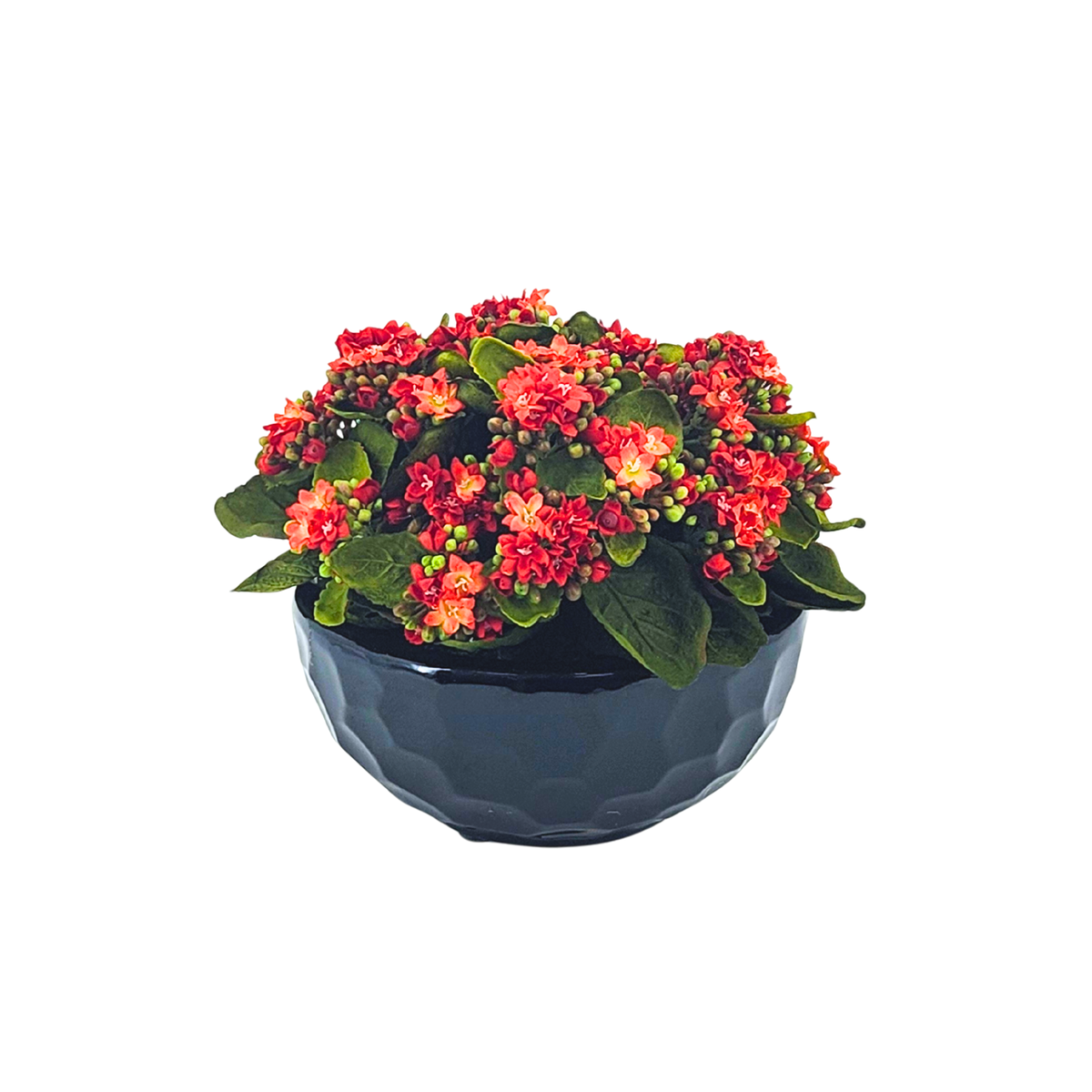 Faux Kalanchoe Arrangement in Glossy Black Dimpled Ceramic Bowl