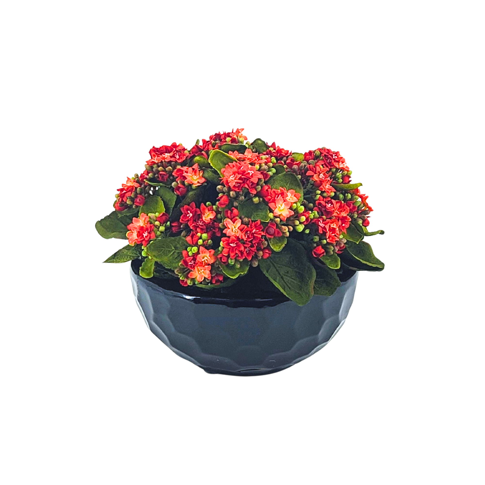 Faux Kalanchoe Arrangement in Glossy Black Dimpled Ceramic Bowl