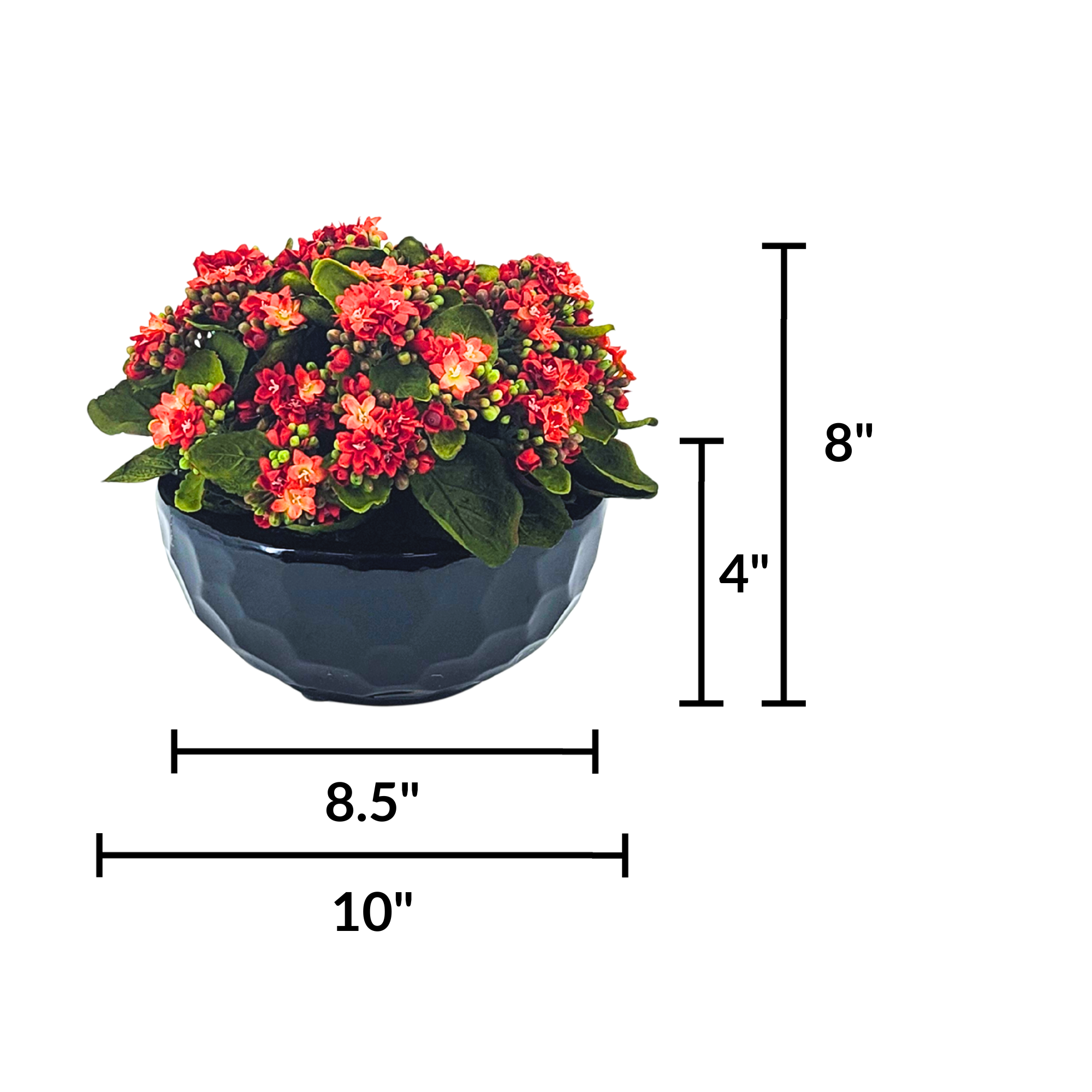Faux Kalanchoe Arrangement in Glossy Black Dimpled Ceramic Bowl