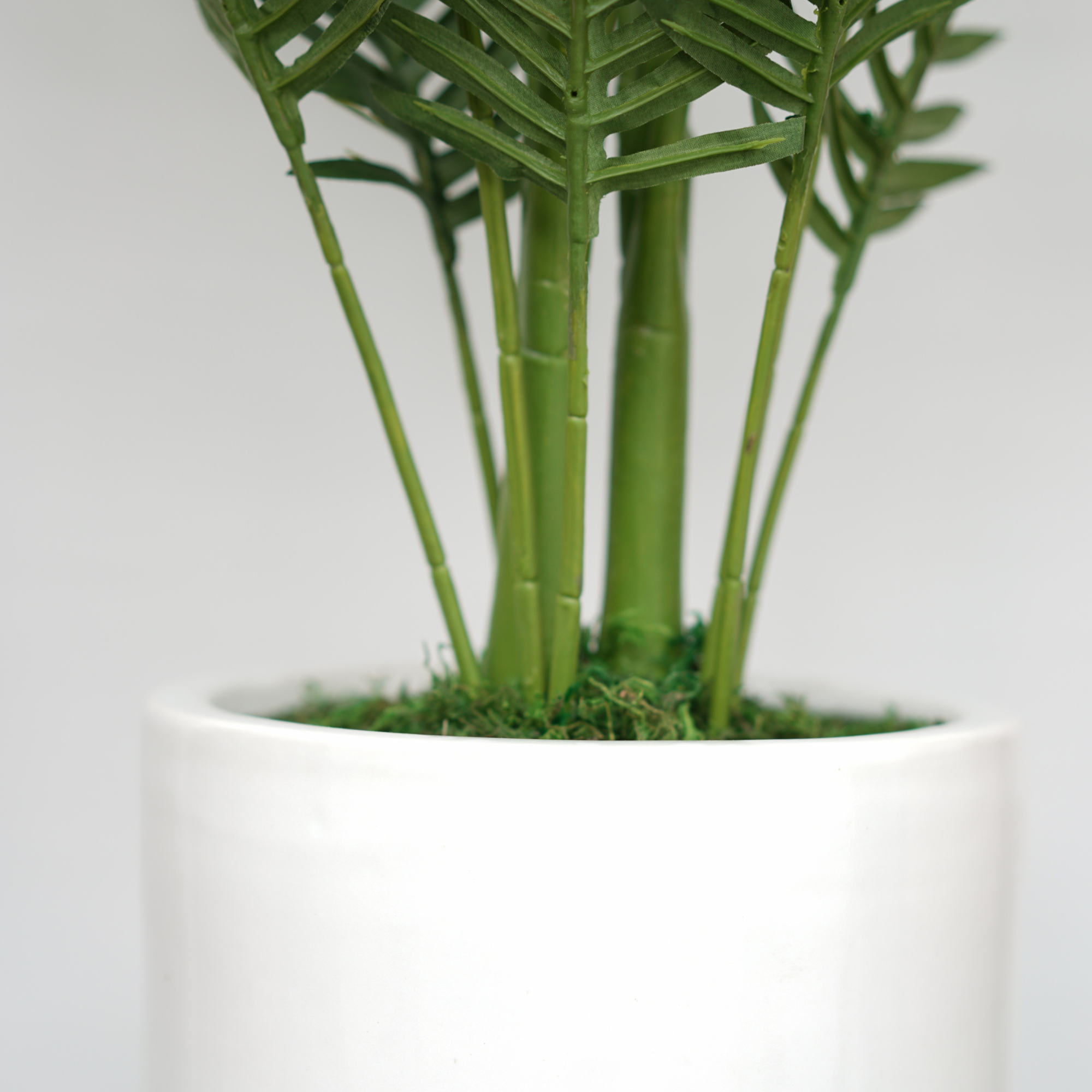 44" Areca Palm in Glossy White Ceramic