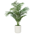 44" Areca Palm in Stone Wash White Ceramic