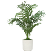 44" Areca Palm in Stone Wash White Ceramic