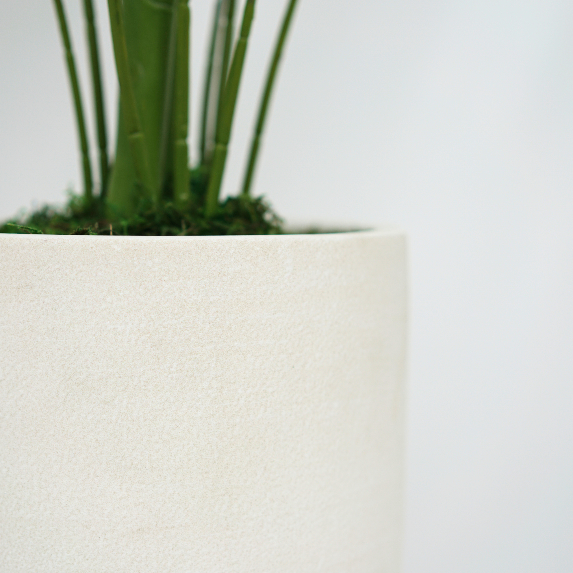 44" Areca Palm in Stone Wash White Ceramic