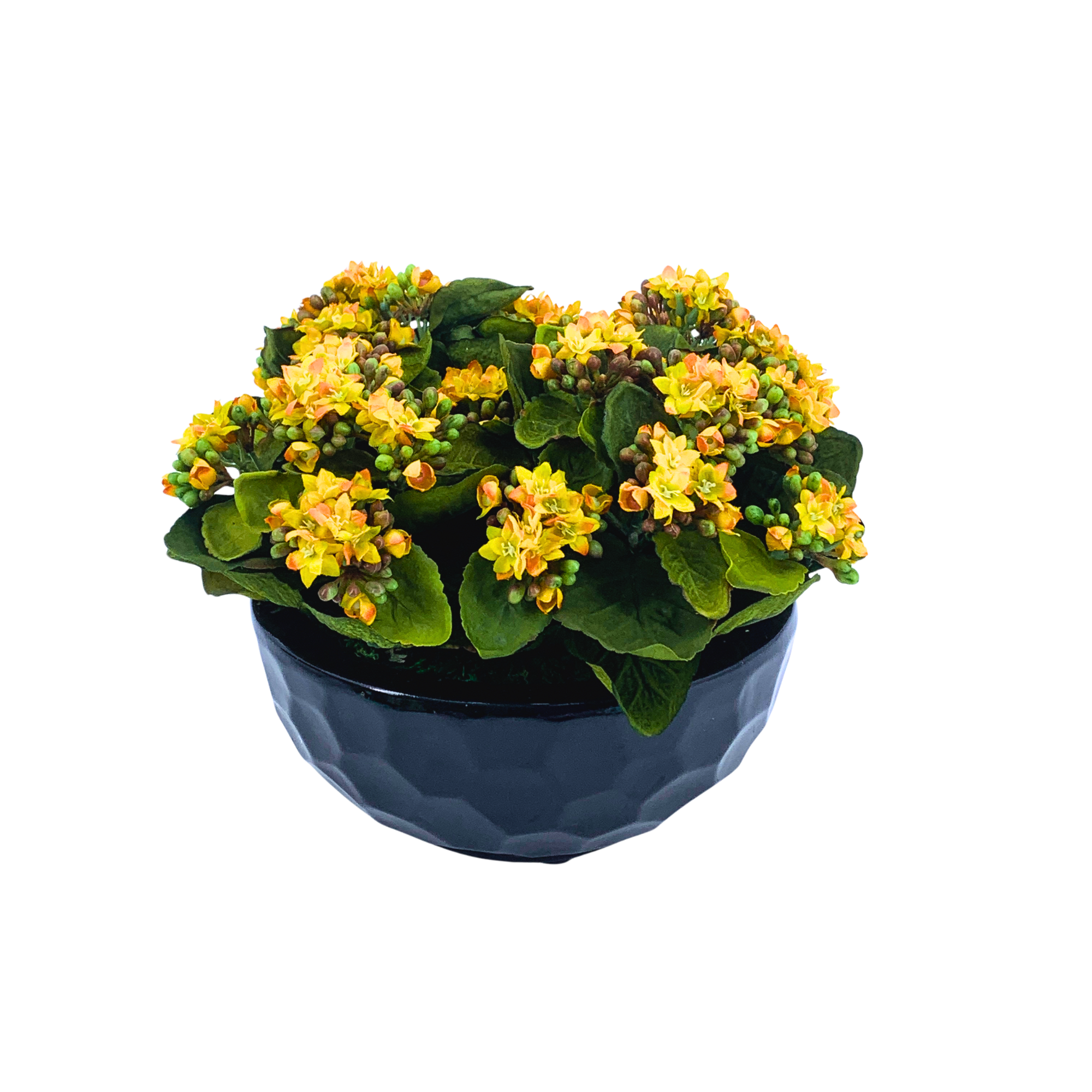 Faux Kalanchoe Arrangement in Glossy Black Dimpled Ceramic Bowl