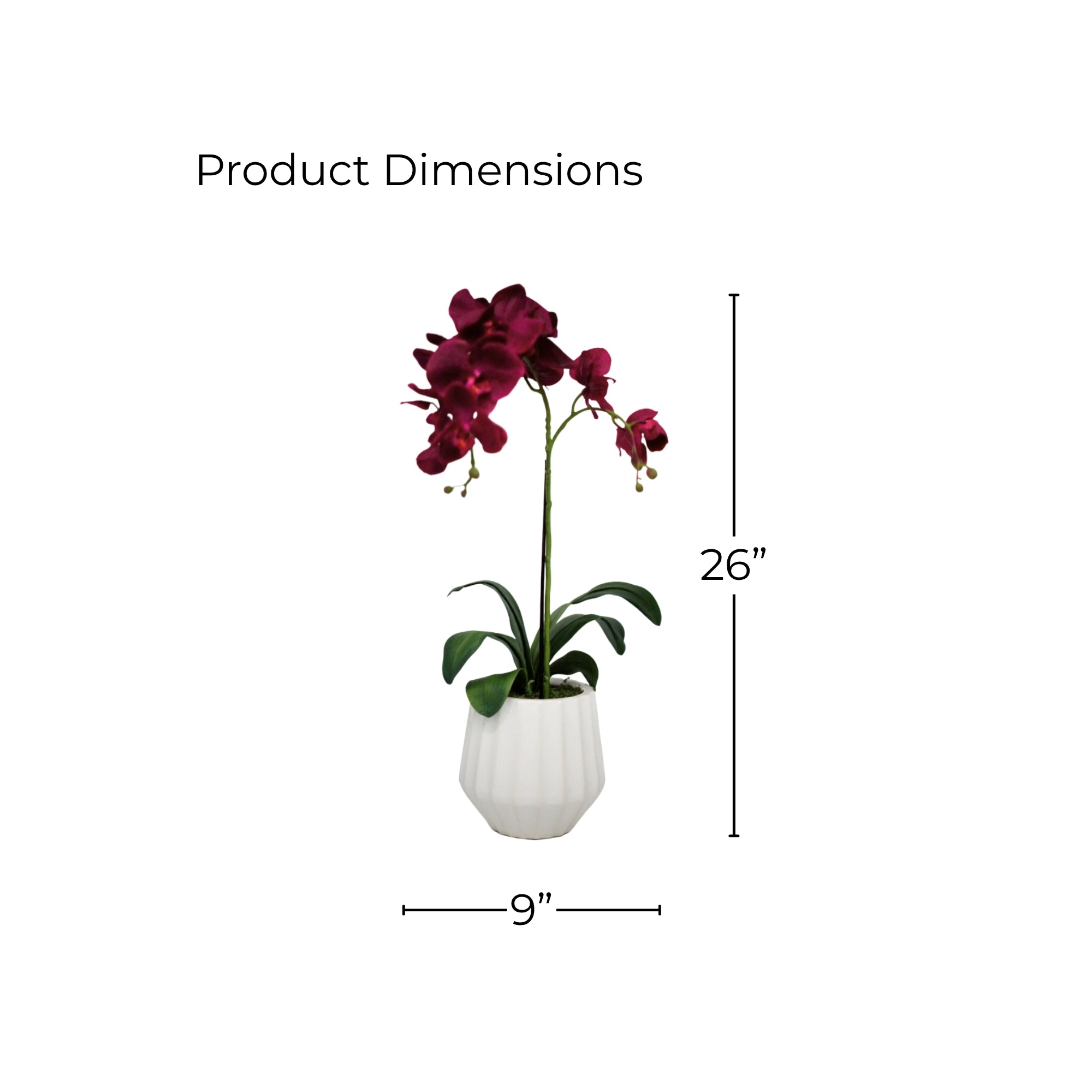 26" Dark Purple Orchid in Glossy White Ribbed Ceramic