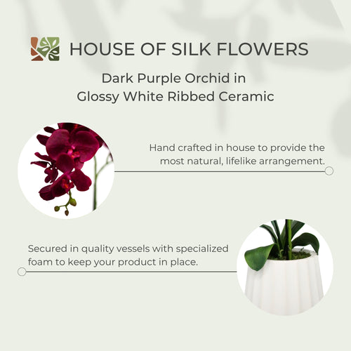 26" Dark Purple Orchid in Glossy White Ribbed Ceramic