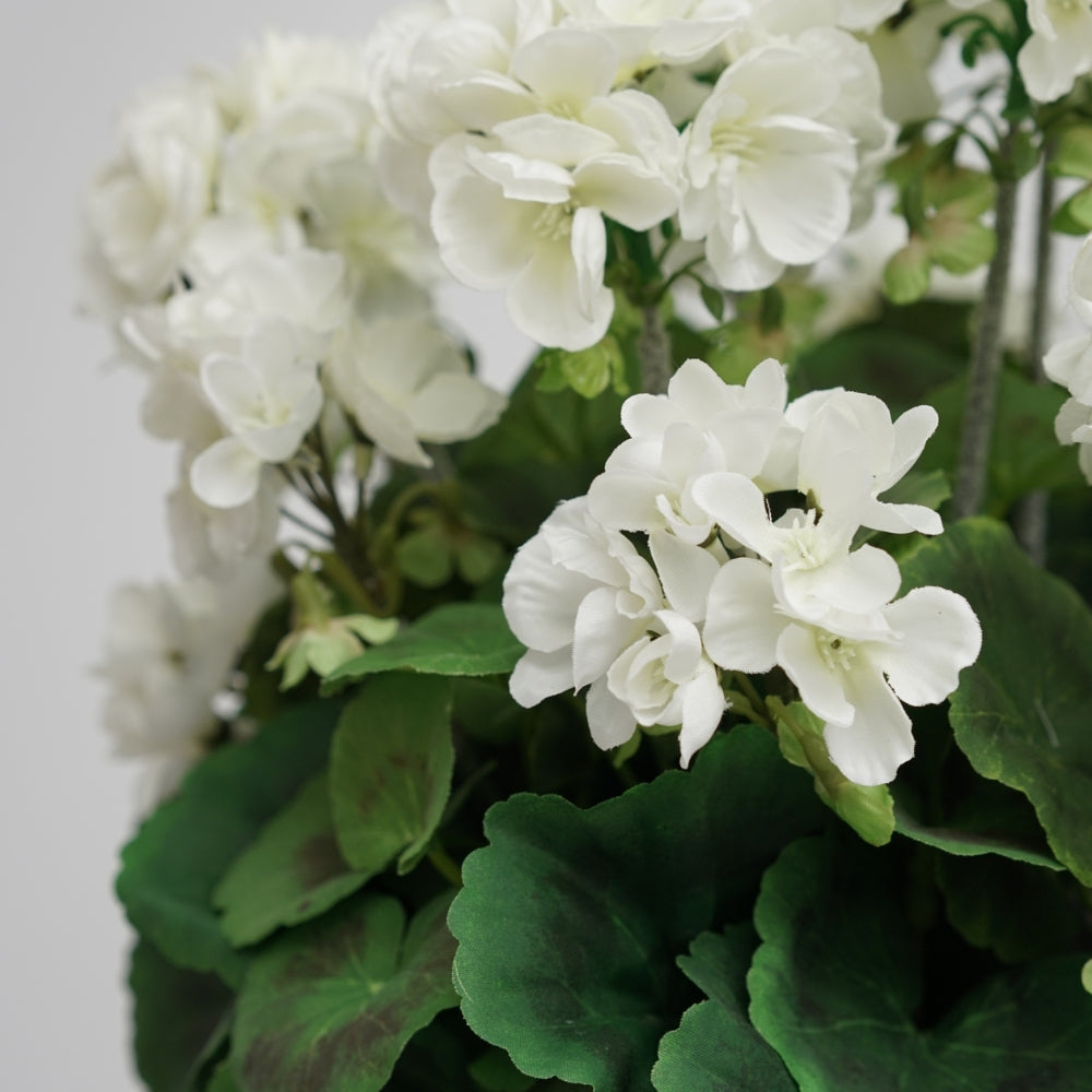 18" Geranium Bush in Cement Gray Ceramic