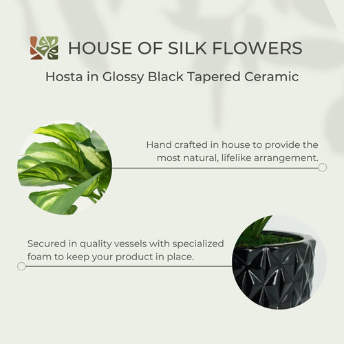 27" Faux Hosta In Glossy Black Tapered Ceramic