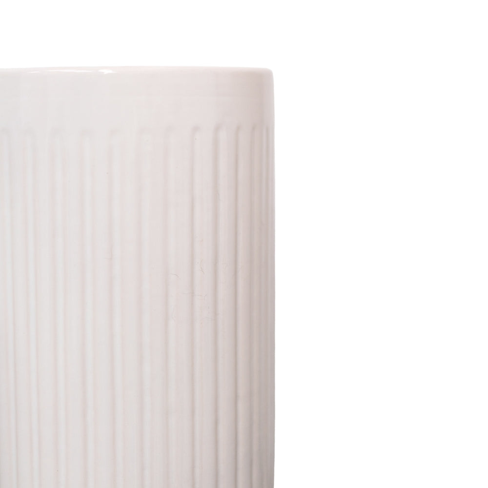 58" Golden Cane Palm in Glossy White Thin-Ribber Cylinder Ceramic