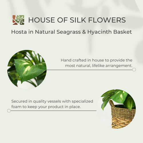 28" Large Faux Hosta in Natural Seagrass & Hyacinth Basket