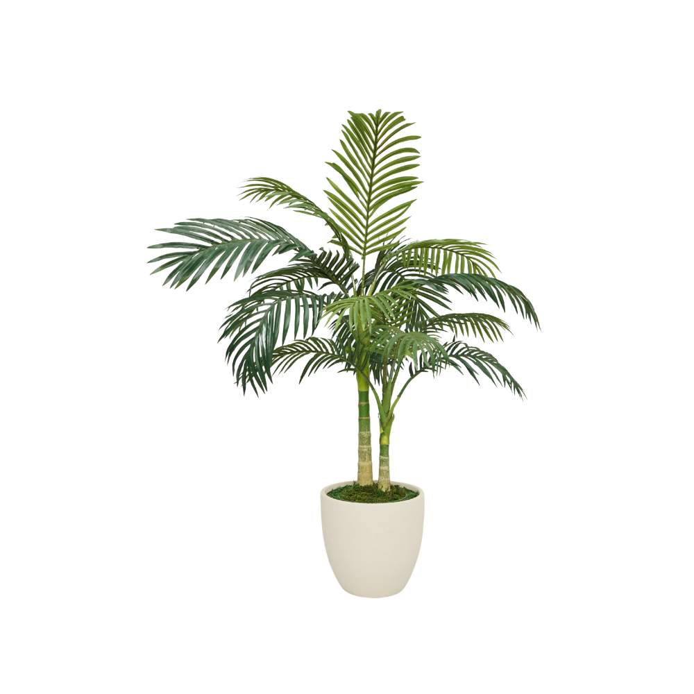 52" Golden Cane Palm in Boiled Cream Tapered Ceramic
