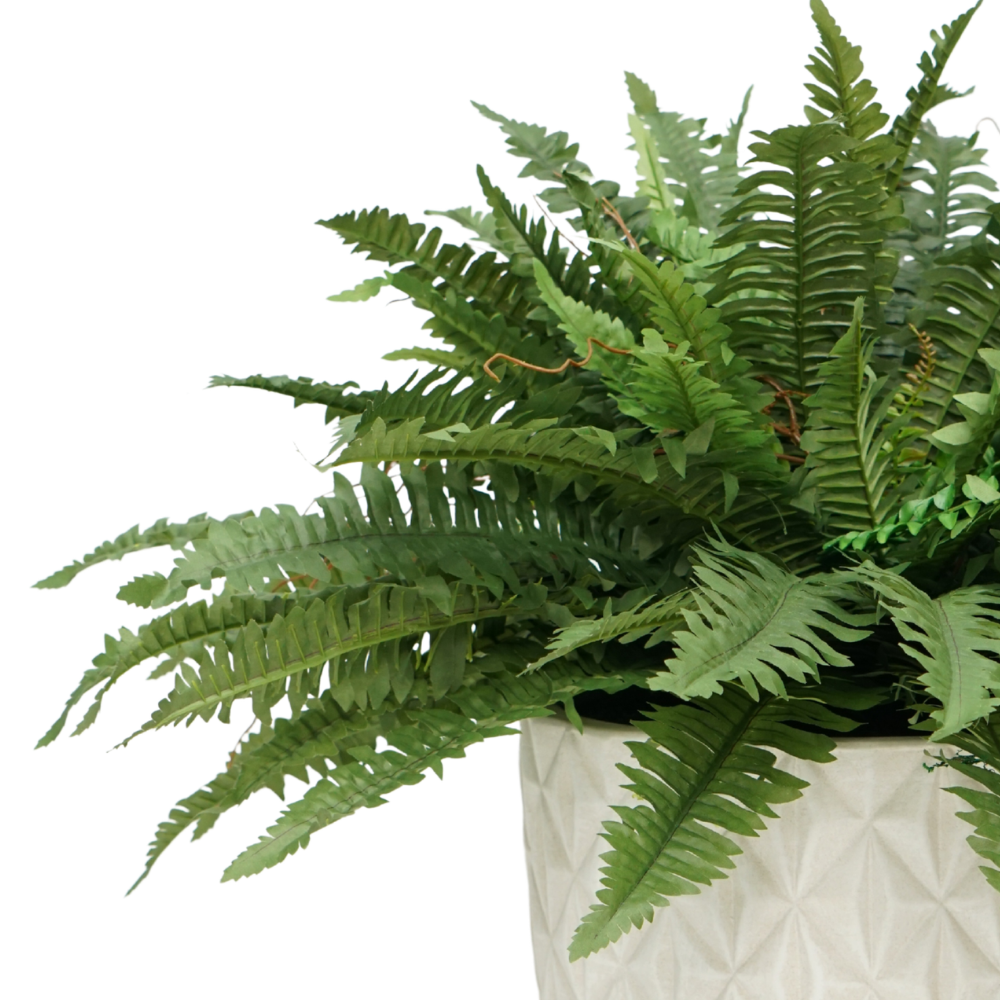 Faux Fern in Stone Wash Tapered Ceramic Pot